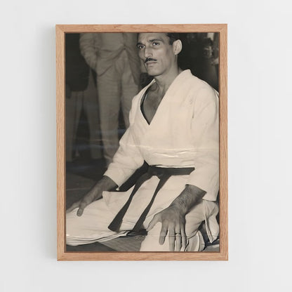 ap-helio gracie-1 cadre Bois clair