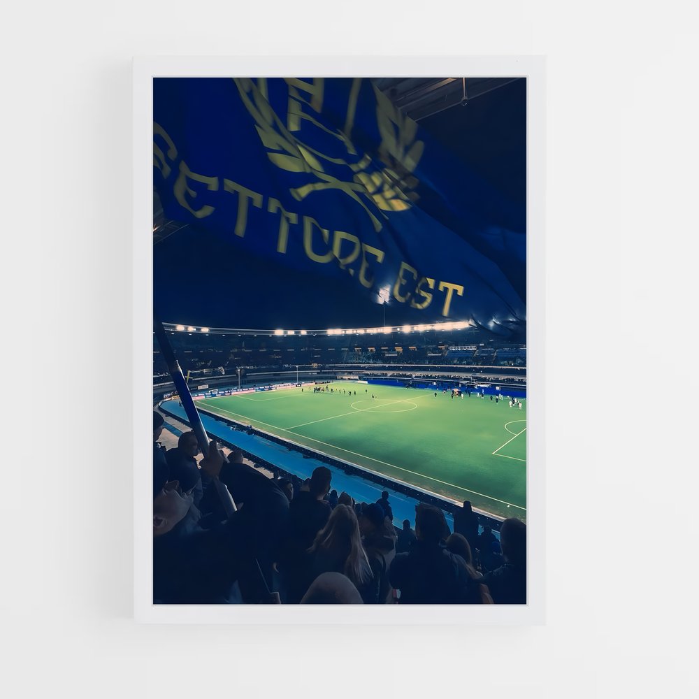 ap-hellas verona fc-10 cadre Blanc