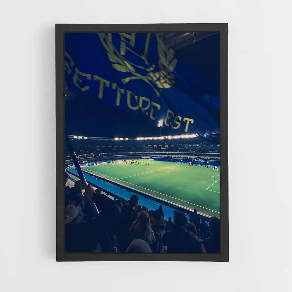 ap-hellas verona fc-10 cadre Noir