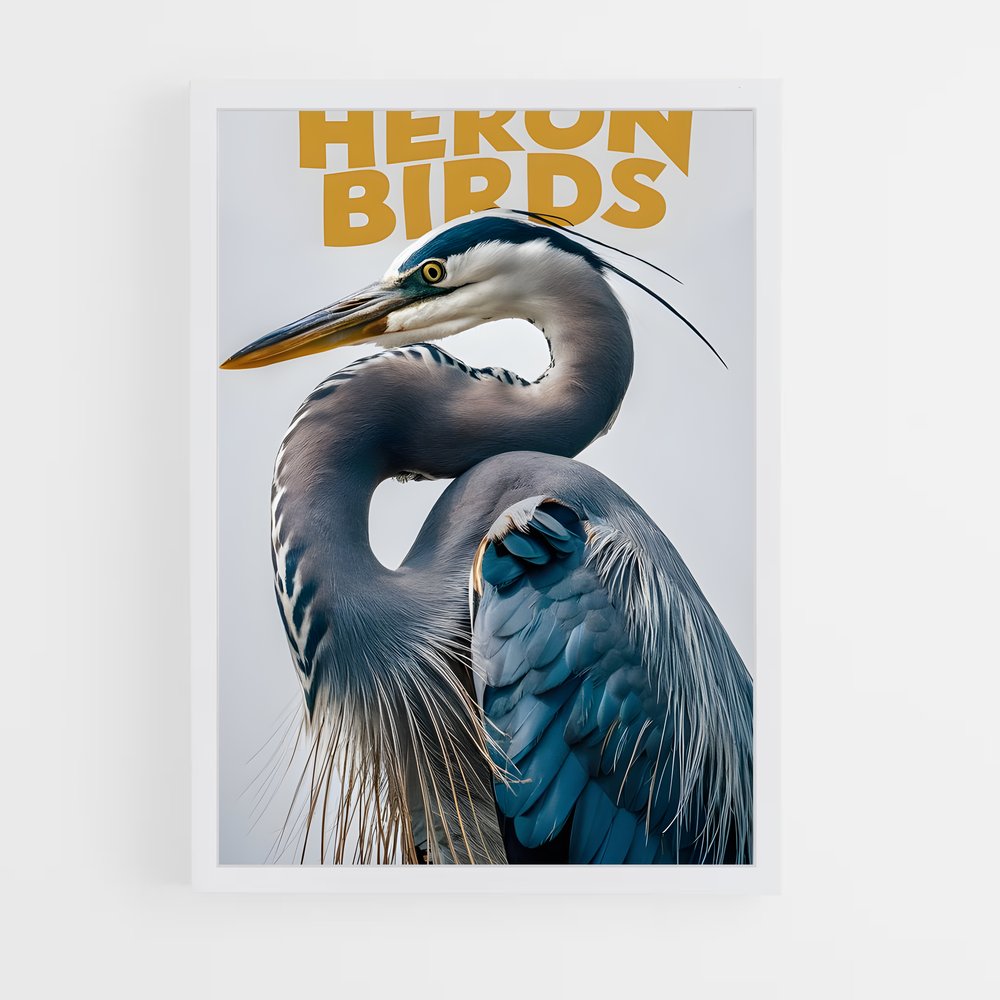 ap-heron-1 cadre Blanc