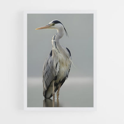 ap-heron-2 cadre Blanc