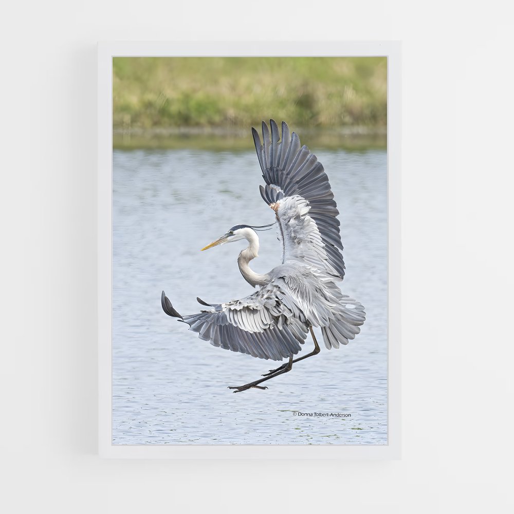 ap-heron-4 cadre Blanc