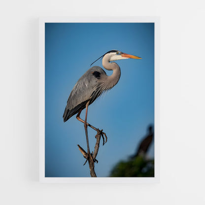 ap-heron-6 cadre Blanc