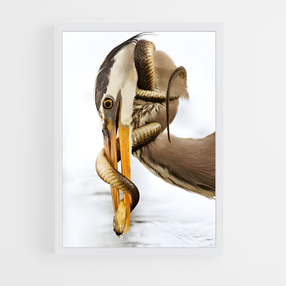 ap-heron-7 cadre Blanc