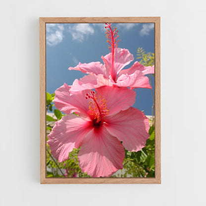 ap-hibiscus-10 cadre Bois clair