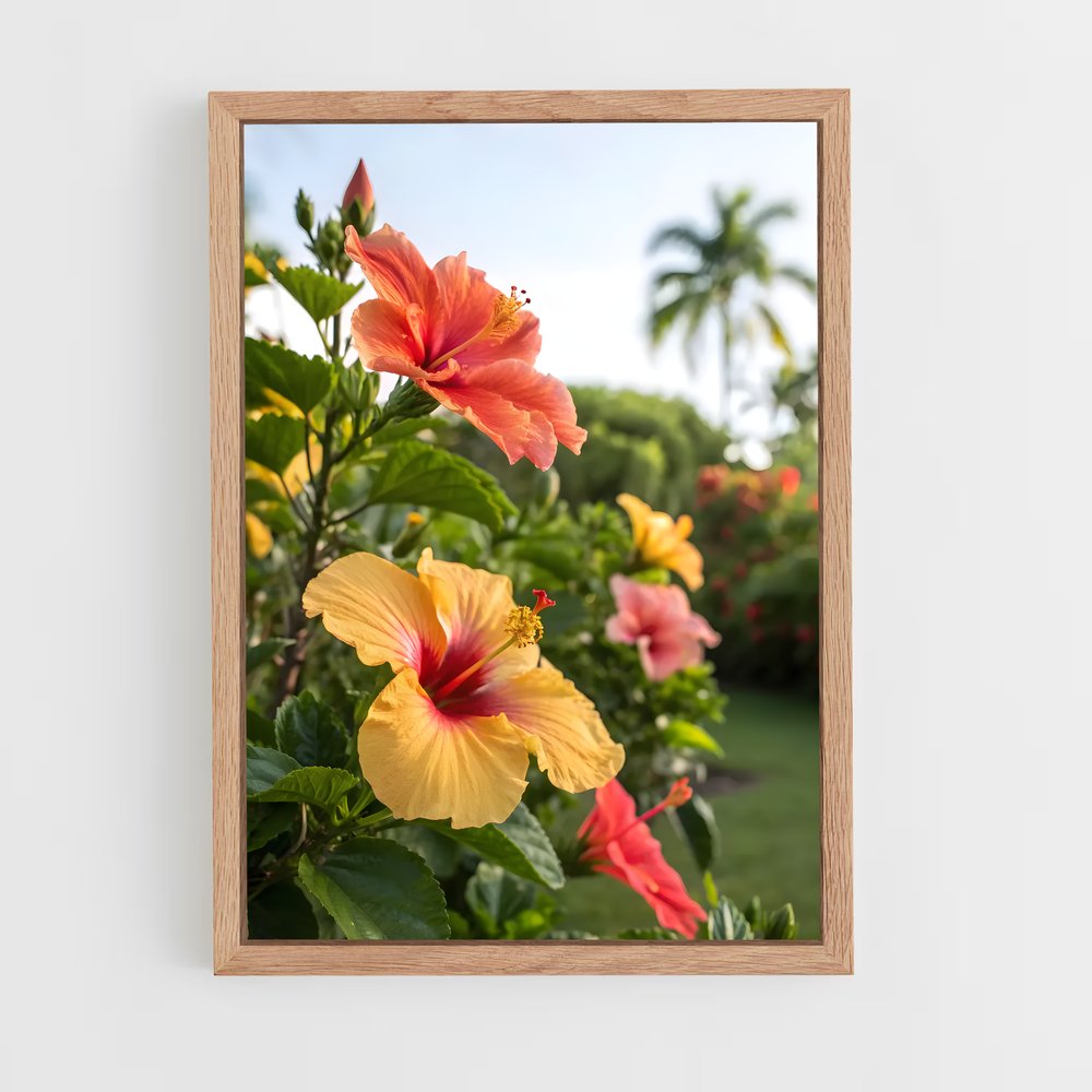 ap-hibiscus-11 cadre Bois clair