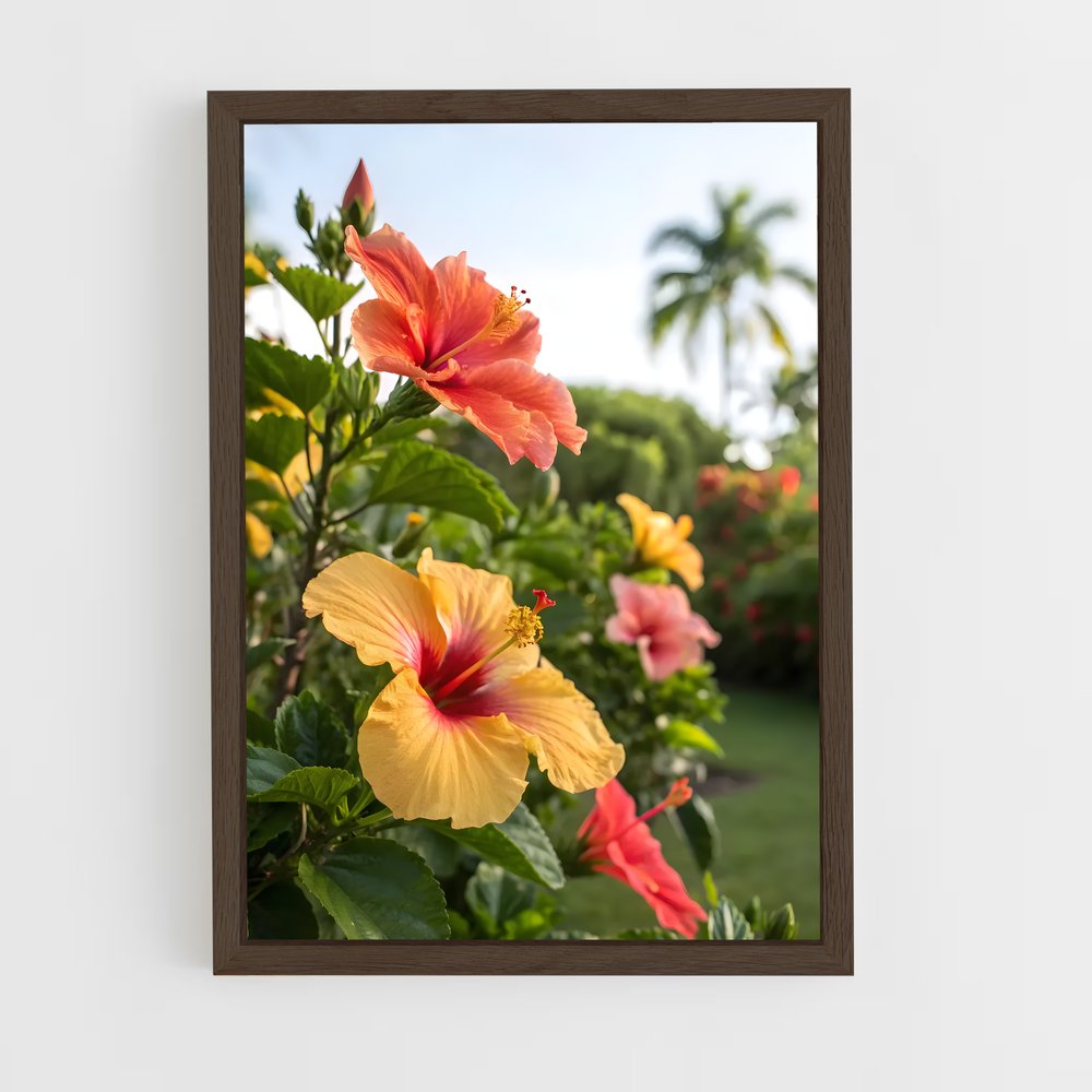 ap-hibiscus-11 cadre Bois foncé