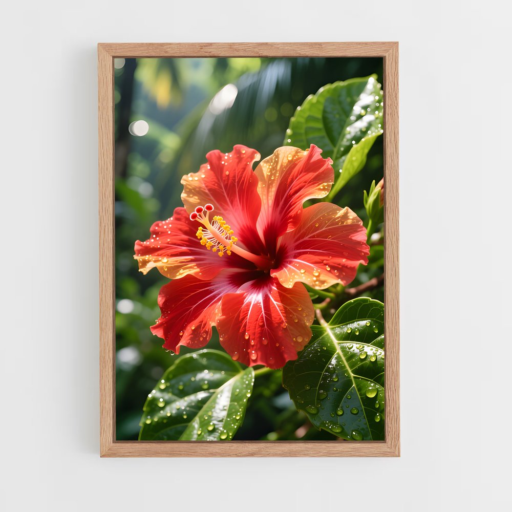 ap-hibiscus-12 cadre Bois clair