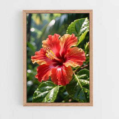 ap-hibiscus-12 cadre Bois clair
