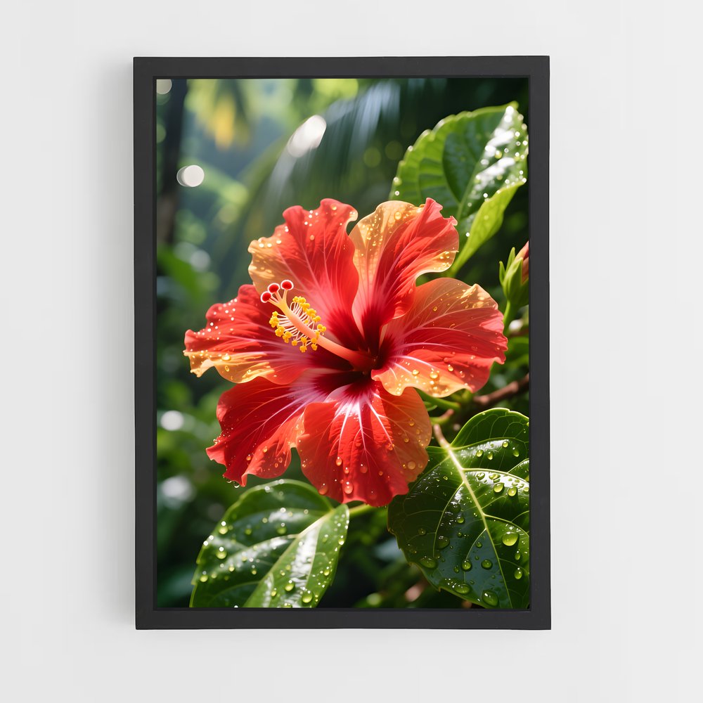 ap-hibiscus-12 cadre Noir