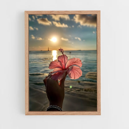 ap-hibiscus-16 cadre Bois clair