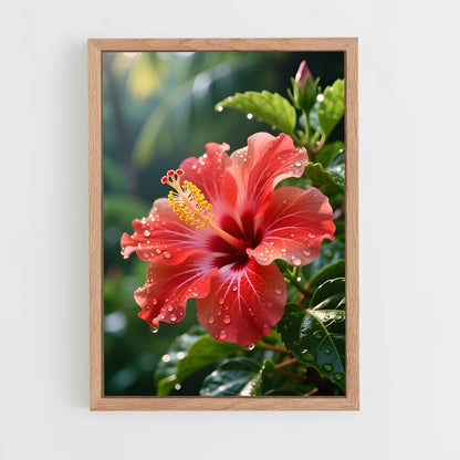 ap-hibiscus-4 cadre Bois clair