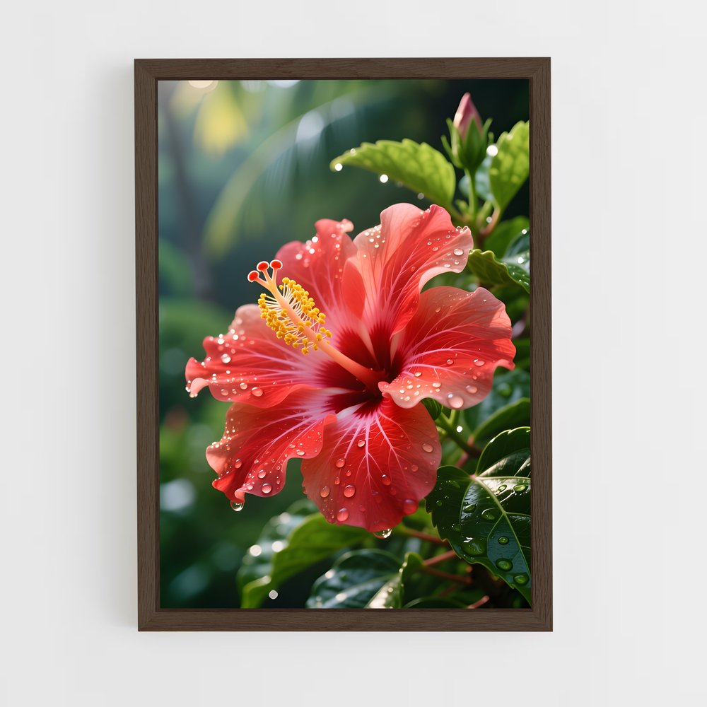 ap-hibiscus-4 cadre Bois foncé