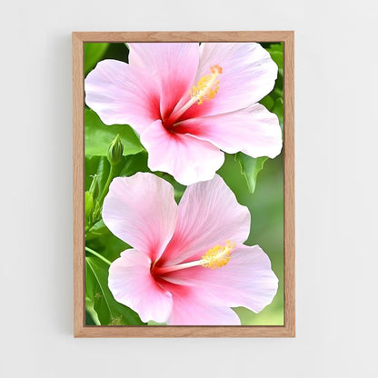 ap-hibiscus-5 cadre Bois clair
