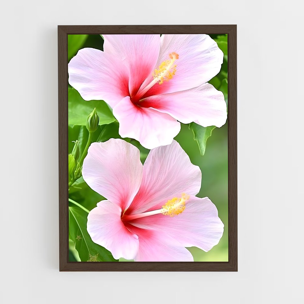 ap-hibiscus-5 cadre Bois foncé