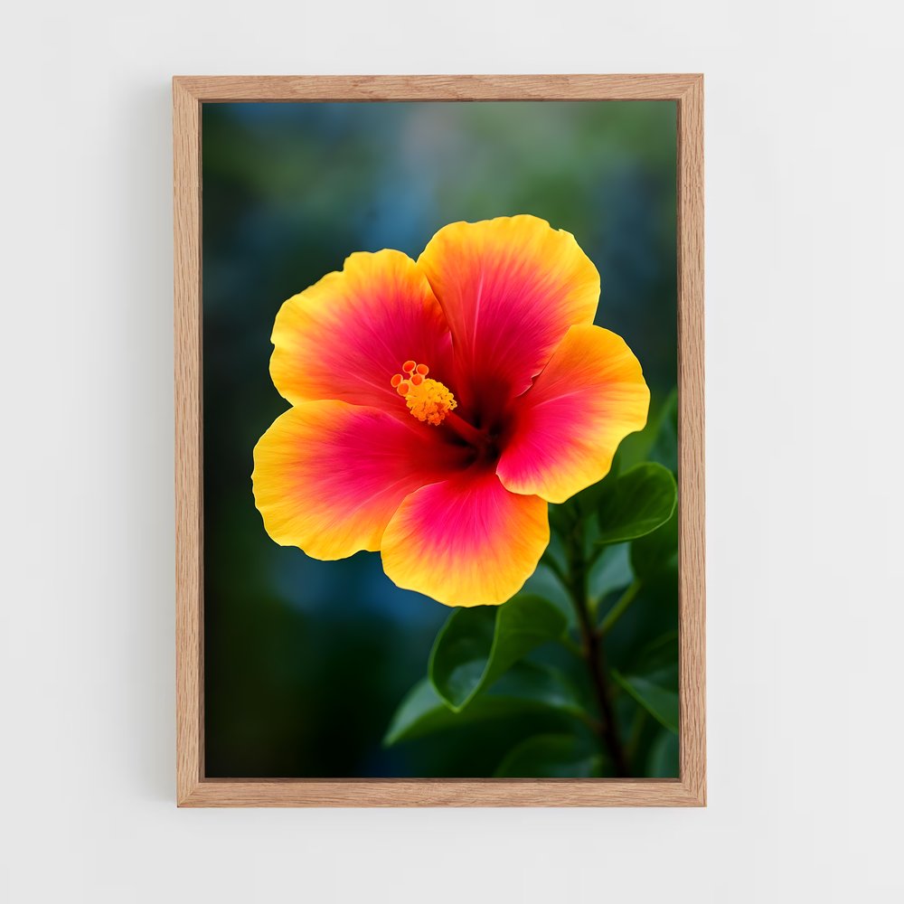 ap-hibiscus-6 cadre Bois clair
