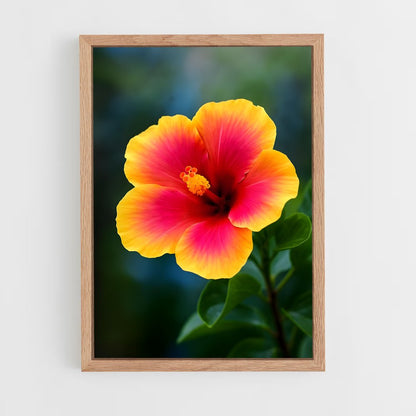 ap-hibiscus-6 cadre Bois clair
