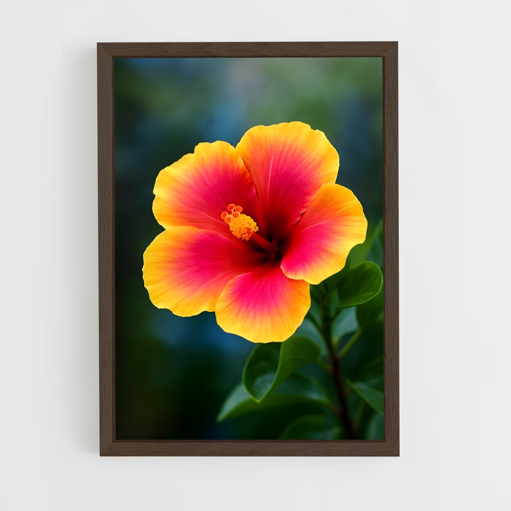 ap-hibiscus-6 cadre Bois foncé