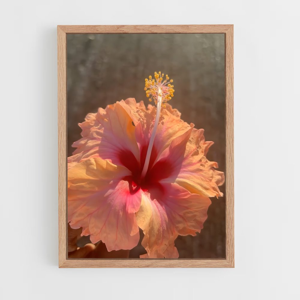 ap-hibiscus-8 cadre Bois clair
