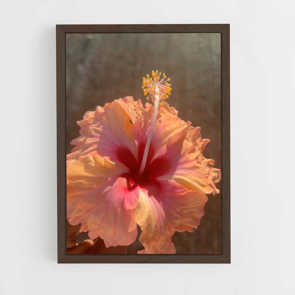 ap-hibiscus-8 cadre Bois foncé