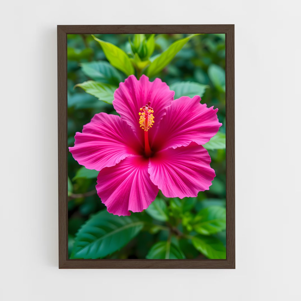 ap-hibiscus-9 cadre Bois foncé
