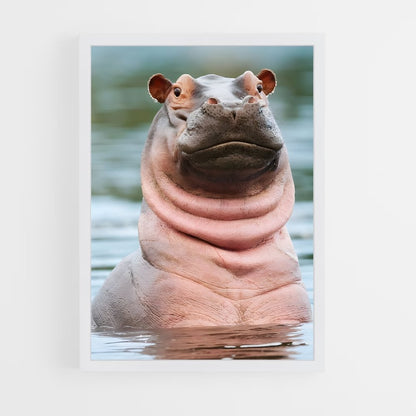 ap-hippo-1 cadre Blanc