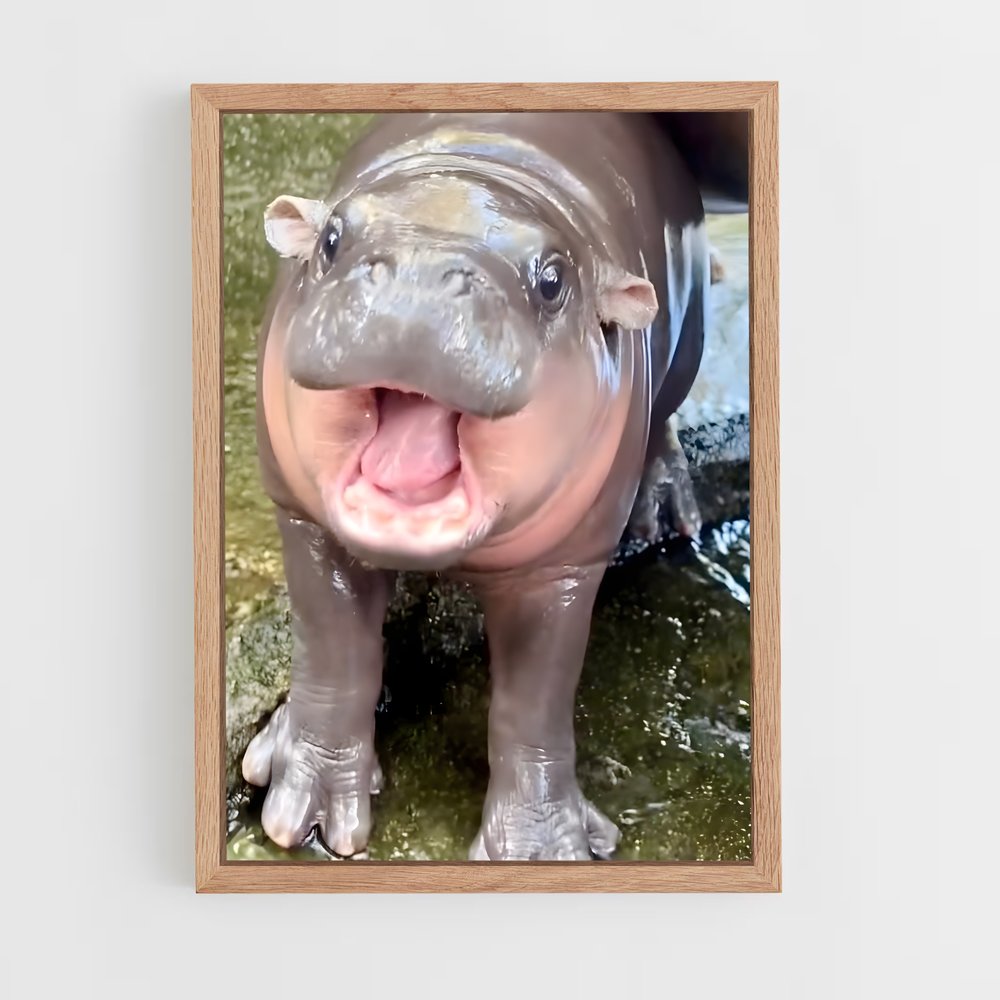 ap-hippo-2 cadre Bois clair
