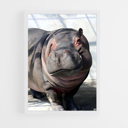 ap-hippo-3 cadre Blanc
