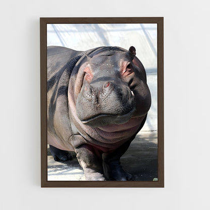 ap-hippo-3 cadre Bois foncé