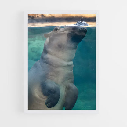 ap-hippo-4 cadre Blanc
