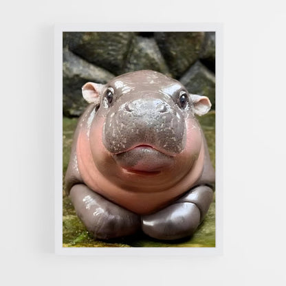 ap-hippo-5 cadre Blanc