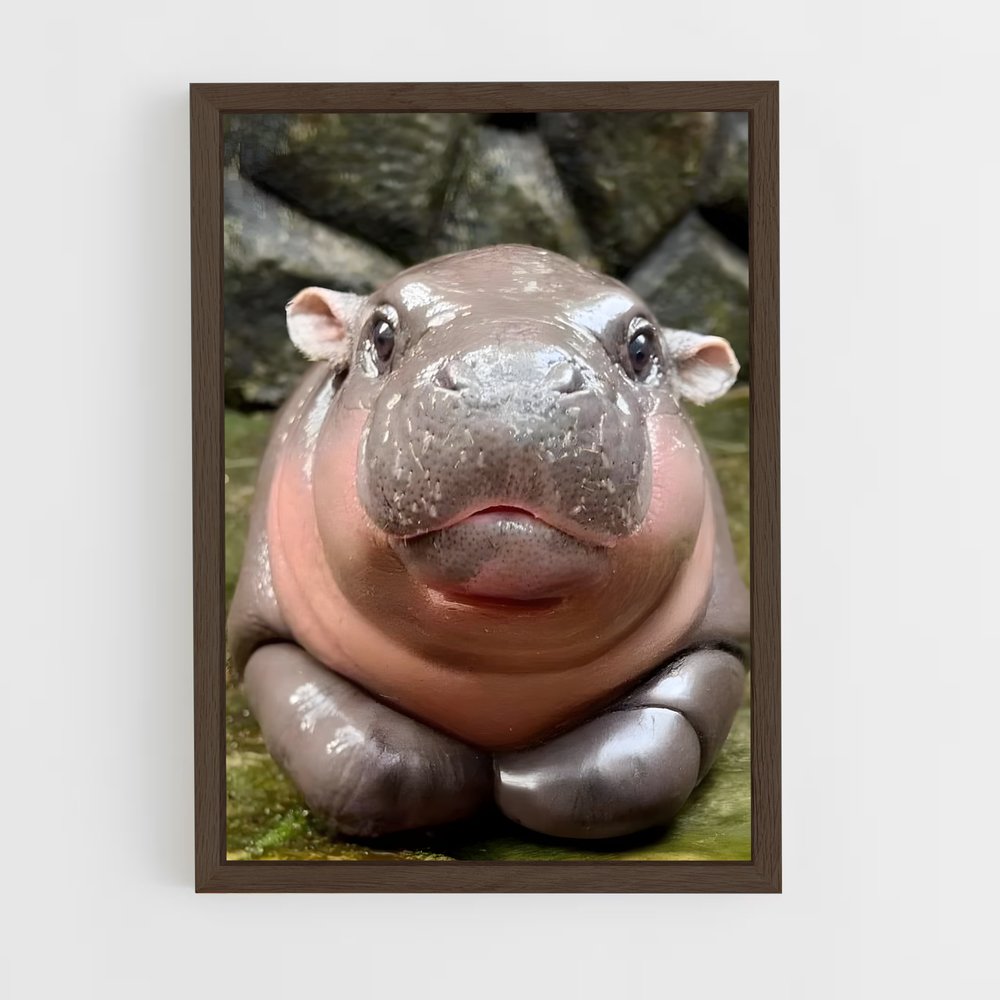 ap-hippo-5 cadre Bois foncé
