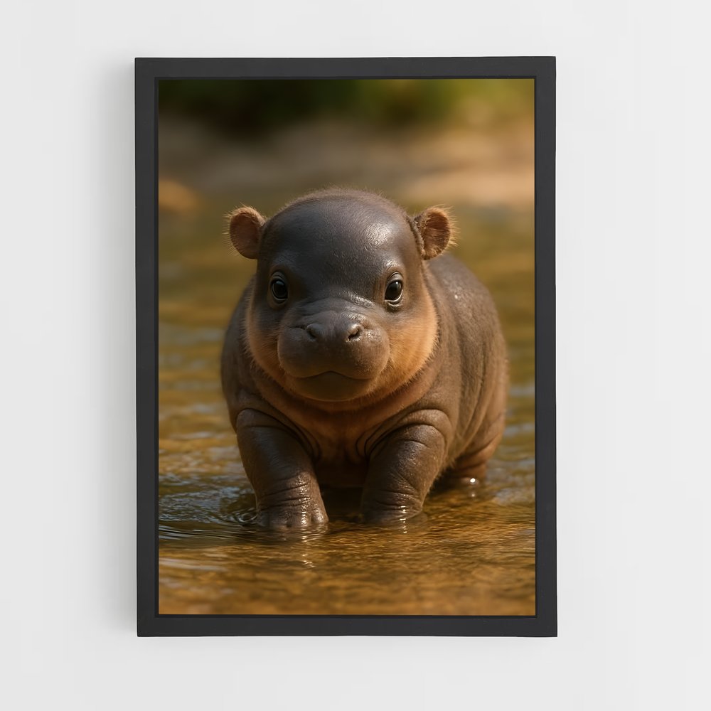 ap-hippo-8 cadre Noir