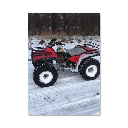 Poster Aventure Neigeuse