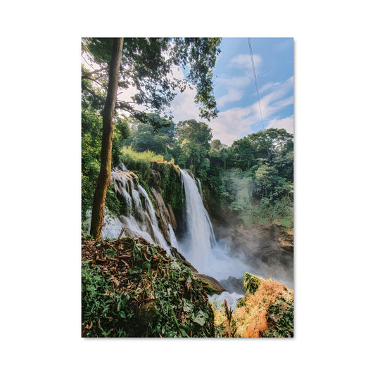 Poster Chute de la Jungle