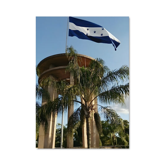 Poster Palmiers du Honduras