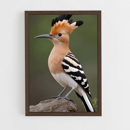 ap-hoopoe-1 cadre Bois foncé