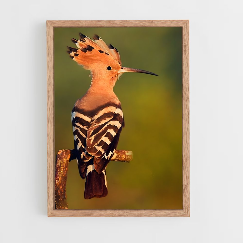 ap-hoopoe-2 cadre Bois clair