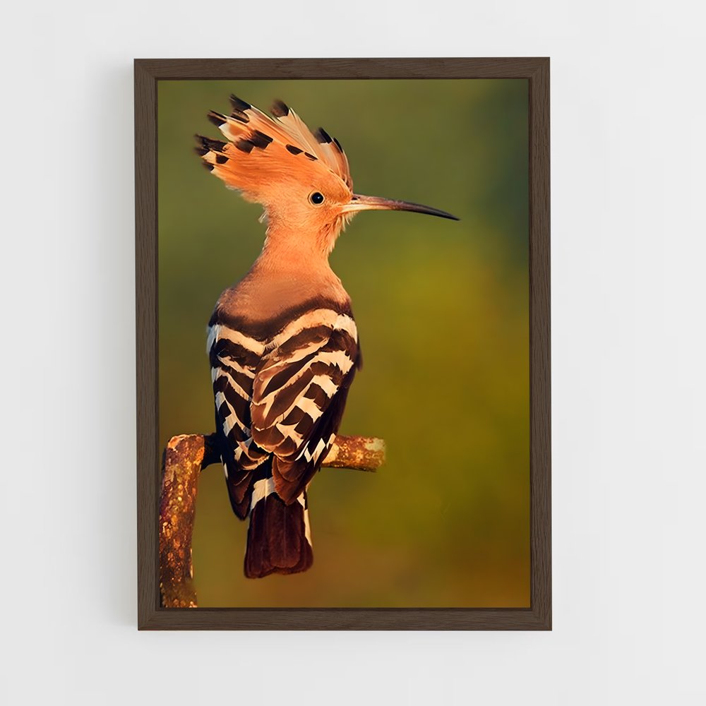 ap-hoopoe-2 cadre Bois foncé