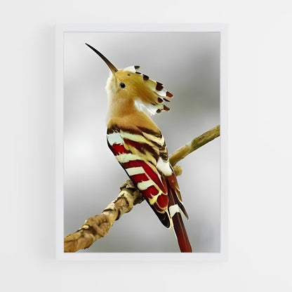 ap-hoopoe-7 cadre Blanc