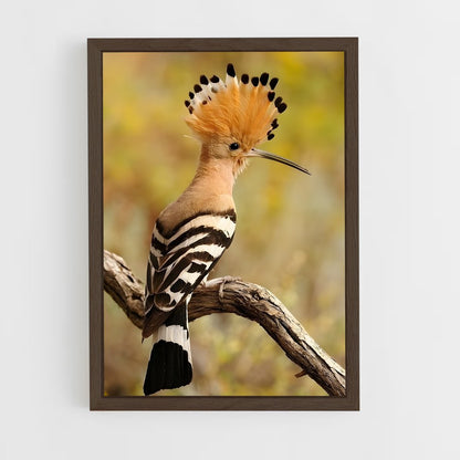 ap-hoopoe-9 cadre Bois foncé