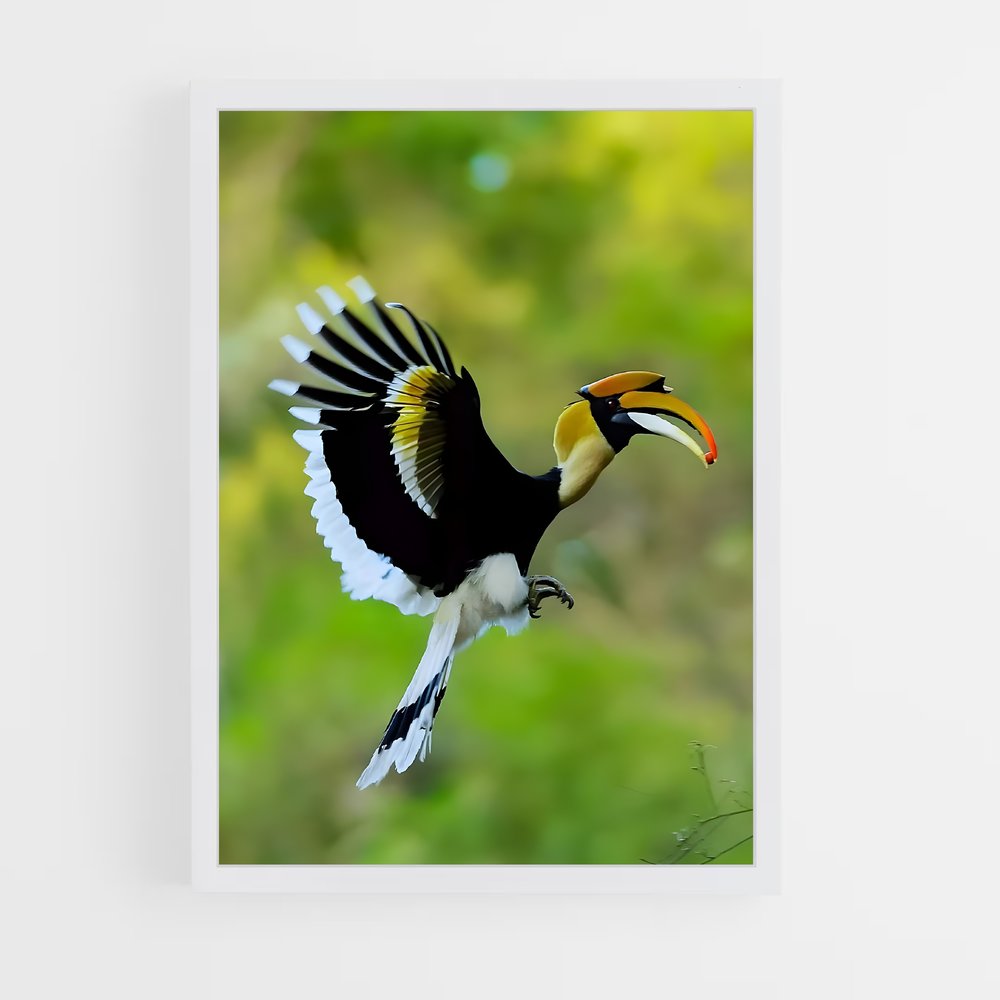 ap-hornbill-4 cadre Blanc