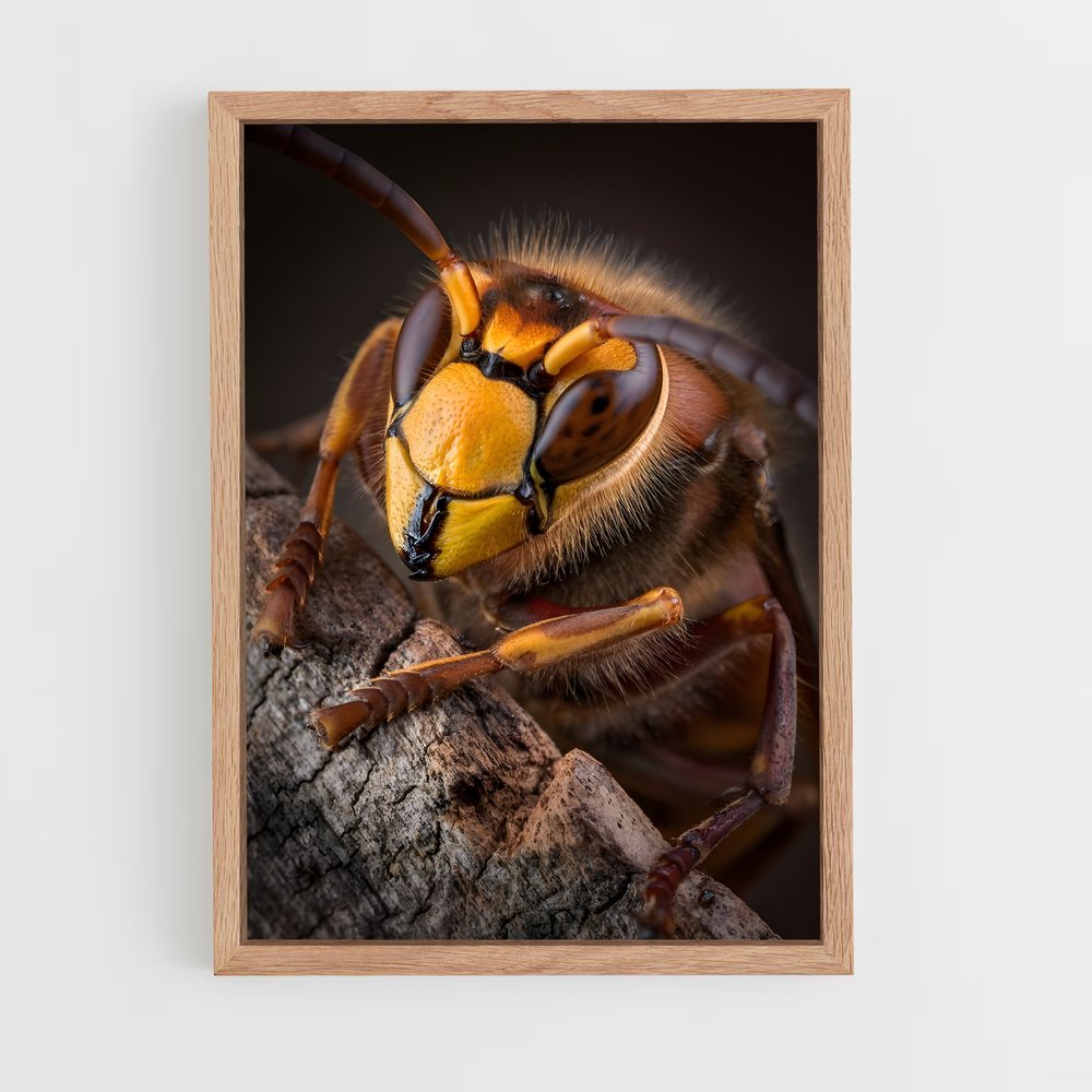 ap-hornet-9 cadre Bois clair