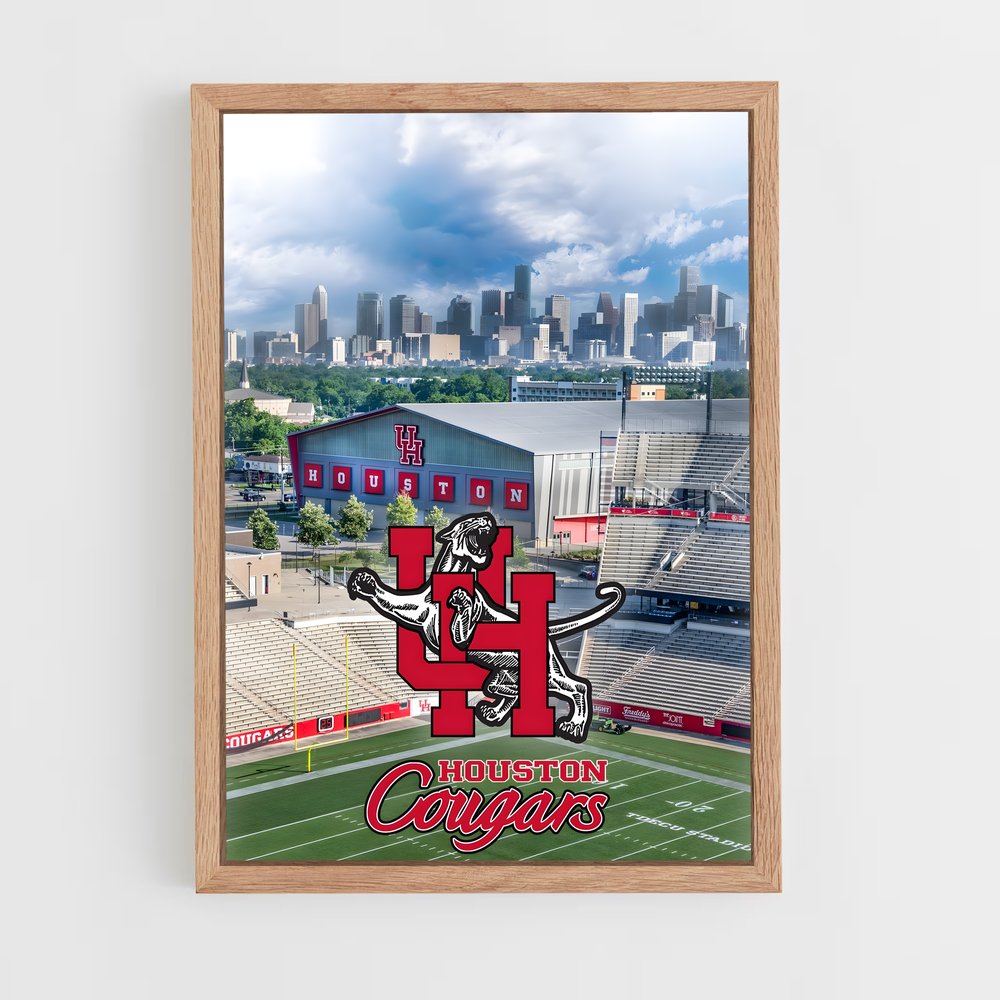 ap-houston cougars-1 cadre Bois clair