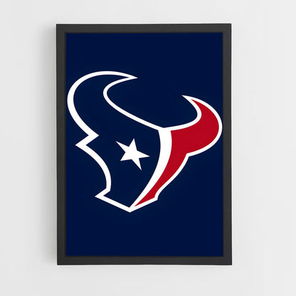 ap-houston texans-1 cadre Noir