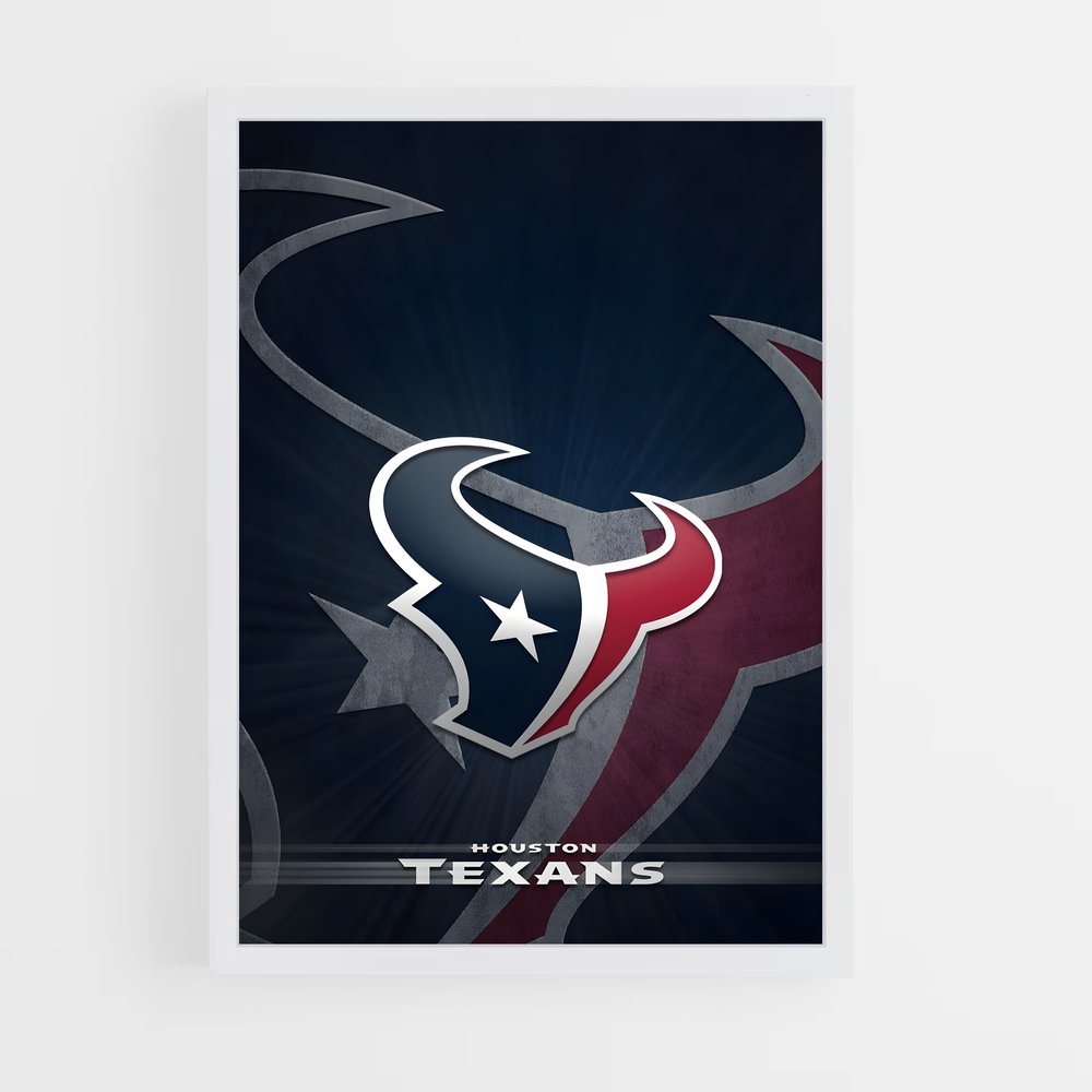 ap-houston texans-3 cadre Blanc