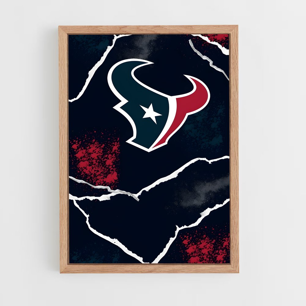 ap-houston texans-4 cadre Bois clair