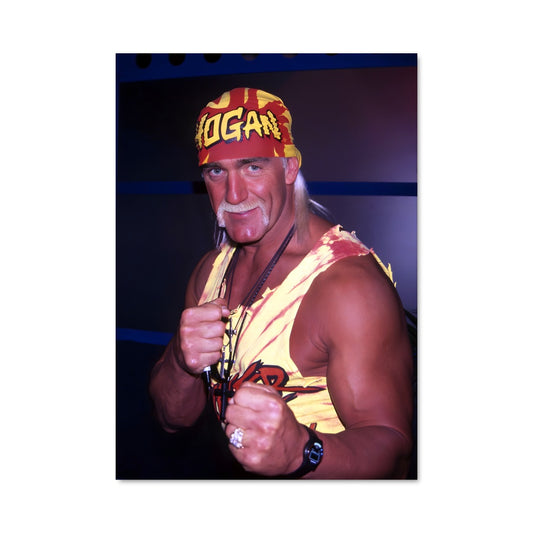 Poster Hulk hogan 61319