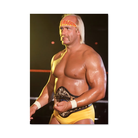 Poster Hulkamania en Action