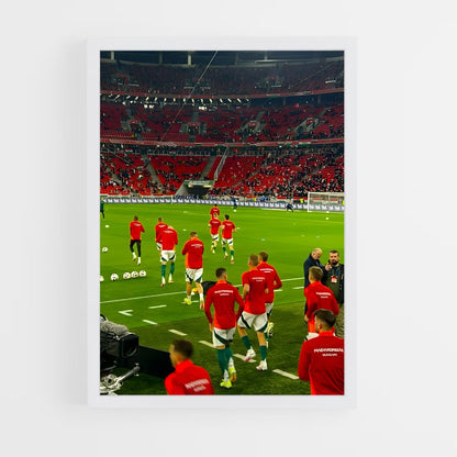 ap-hungary national football team-2 cadre Blanc